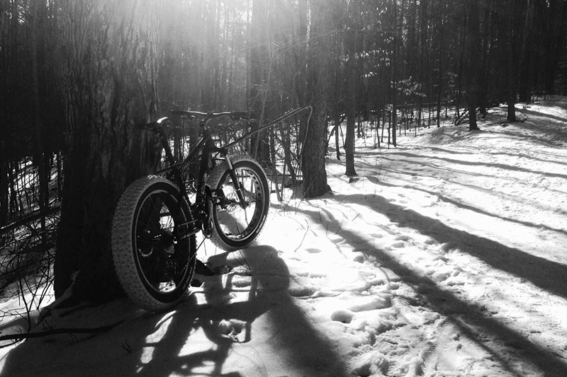 Top 10 Best Fat Bike Tires for Dirt of 2022 Review